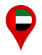 UAE Flag pin
