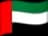 ae flag