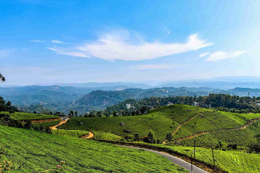 Munnar Hill